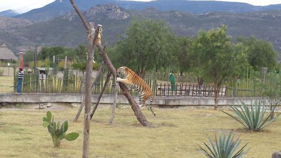 Museo de Filatelia de Oaxaca